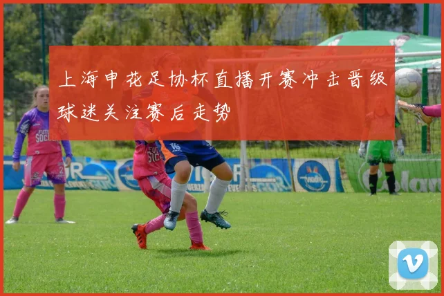 上海申花足协杯直播开赛冲击晋级球迷关注赛后走势