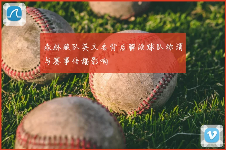 森林狼队英文名背后解读球队称谓与赛事传播影响