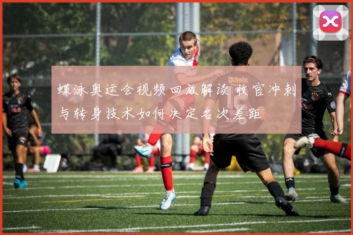 蝶泳奥运会视频回放解读 收官冲刺与转身技术如何决定名次差距